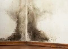 Πώς να αφαιρέσετε την υγρασία από τους τοίχους ώστε να μην επιστρέψει ποτέ Πώς να αφαιρέσετε την υγρασία από τους τοίχους ώστε να μην επιστρέψει ποτέ