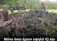 Μπορείτε να εντοπίσετε τον κρυμμένο σκύλο; Μόνο όσοι έχουν αετίσια όραση μπορούν