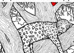 Μόνο όσοι έχουν όραση 10/10 μπορούν να δουν πού είναι το ψάρι