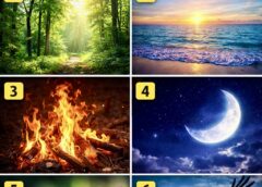 Διάλεξε Ένα από τα Παρακάτω και Δες Τι Αποκαλύπτει για τον Χαρακτήρα σου