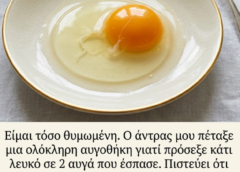 Τι είναι αυτό το άσπρο σε ένα αυγό