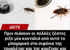 Πριν πιάσουν οι πολλές ζέστες ρίξε μία κουταλιά από αυτό το μπαχαρικό στα σιφόνια της τουαλέτας και της κουζίνας και δεν θα δεις κατσαρίδα όλο το καλοκαίρι