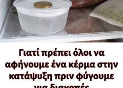 Γιατί πρέπει όλοι να αφήνουμε ένα κέρμα στην κατάψυξη πριν φύγουμε για διακοπές